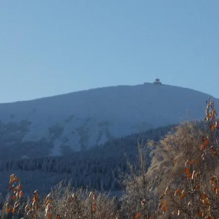 فندق مبيت وإفطار Sadyba Spa 3*