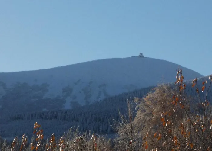 Bed and breakfast Sadyba Spa 3*